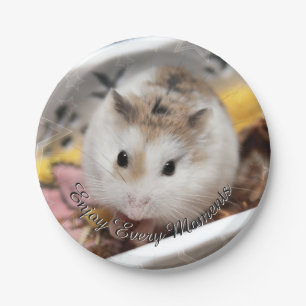 Hammyville - Cute Hamster Paper Plate