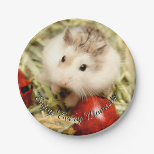 Hammyville - Cute Hamster Paper Plate