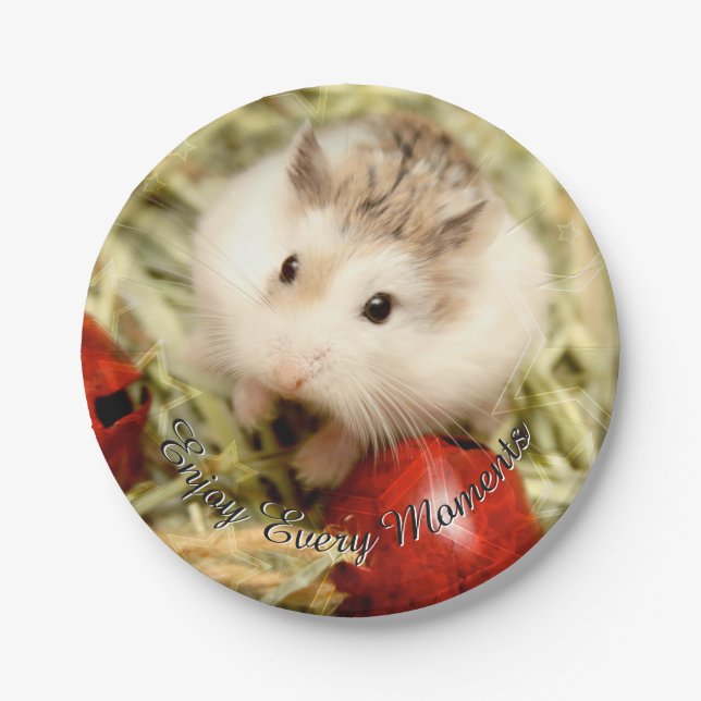 Hammyville - Cute Hamster Paper Plate (Front)