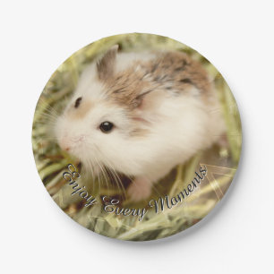 Hammyville - Cute Hamster Paper Plate