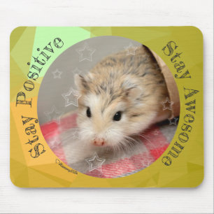 HammyVille - Cute Hamster Stay Awesome Mouse Pad