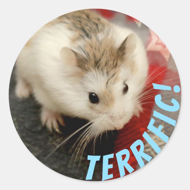 Hammyville - Cute Hamster Terrific Classic Round Sticker (Front)