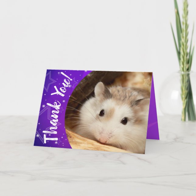 Hammyville - Cute Hamster Thank You (Front)