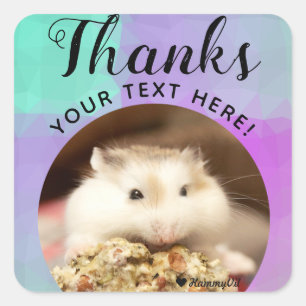 HammyVille - Cute Hamster Thanks Square Sticker