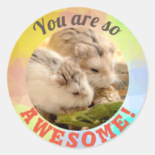 HammyVille - Cute Hamster You are So Awesome Classic Round Sticker