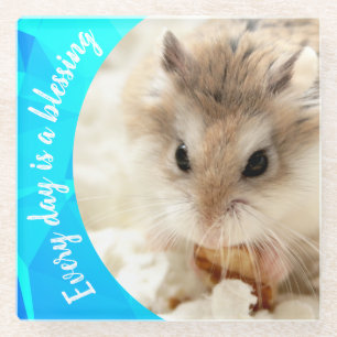 Hammyville - Cute Robo Hamster Glass Coaster