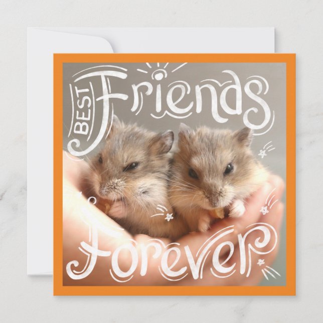 Hammyville - Hamster Best Friends Forever (Front)