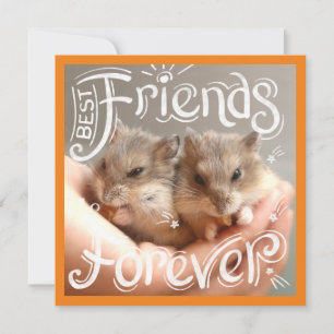 Hammyville - Hamster Best Friends Forever