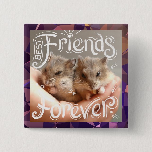 Hammyville - Hamster Best Friends Forever 15 Cm Square Badge (Front)