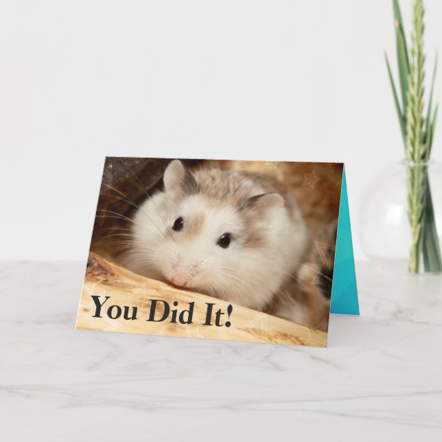 Hammyville - Hamster Congratulations Card (Front)