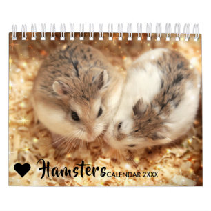 Hammyville - Sparkle Calendar