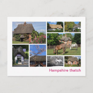 Hampshire thatch postcard