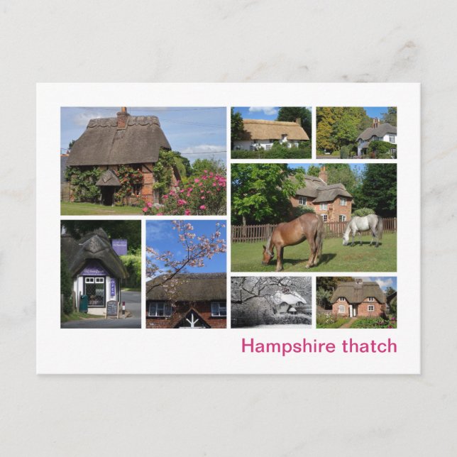 Hampshire thatch postcard (Front)