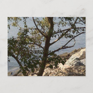 Hampton, VA chesapeake bay view Postcard