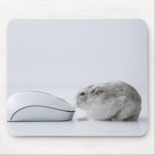 Hamster and Computer mouse Pad