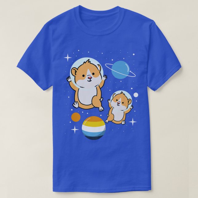 Hamster Astronaut Aroace Pride  T-Shirt (Design Front)