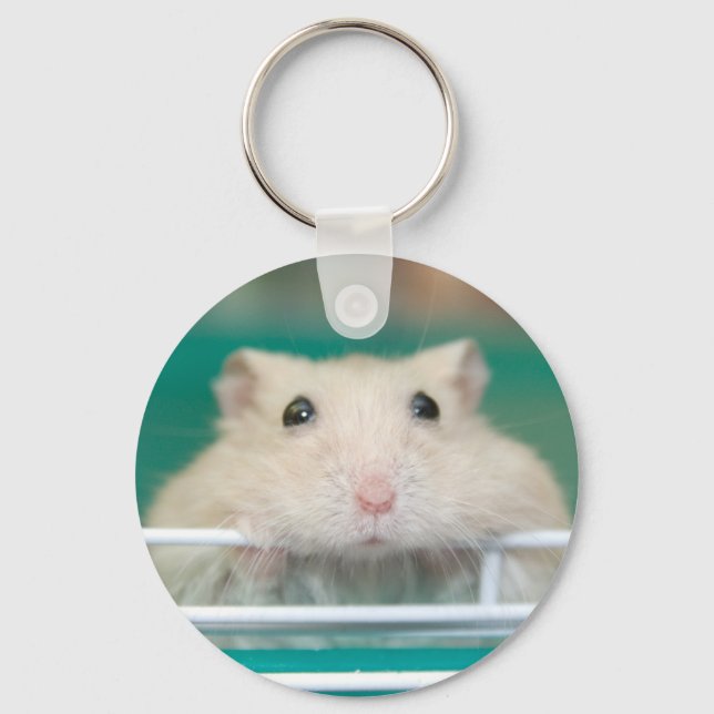 Hamster: Begging for Attention Key Ring (Front)