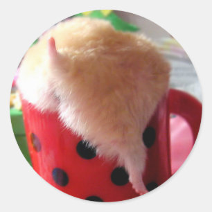Hamster butt classic round sticker