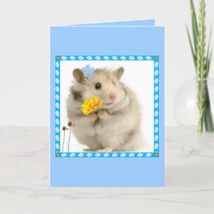 hamster card