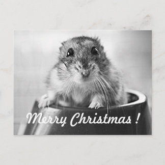 Hamster Christmas Card