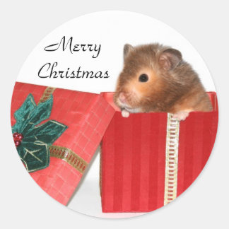 Hamster Christmas gift Classic Round Sticker