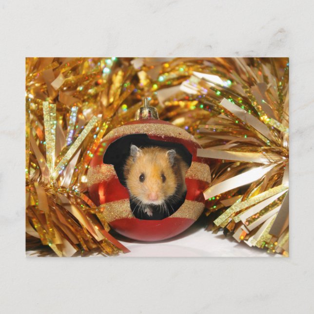 Hamster Christmas Holiday Postcard (Front)