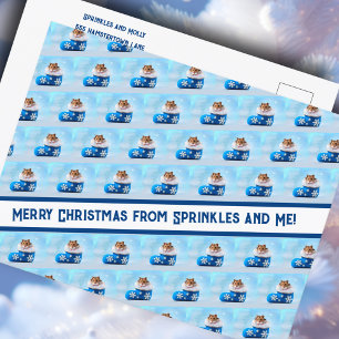 Hamster Christmas Stocking Photo Collage  Holiday Postcard