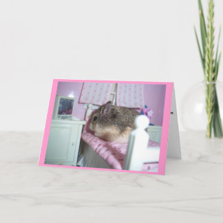 Hamster Get Well Card