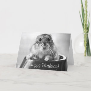 Hamster greeting card, happy birthday card