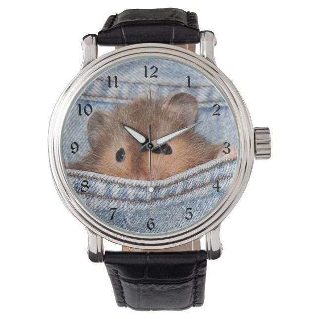Hamster in blue jeans watch (Front)