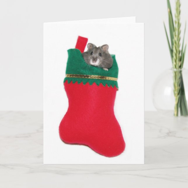 Hamster in Christmas stocking Holiday Card (Front)