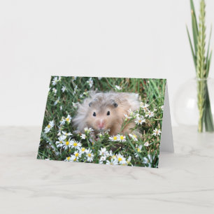 Hamster in flowers card