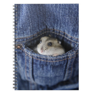 Hamster in pocket notebook