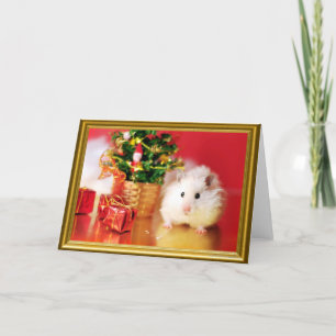 Hamster Kokolinka with Christmas tree Holiday Card