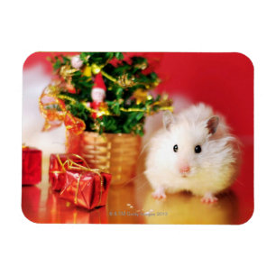 Hamster Kokolinka with Christmas tree Magnet