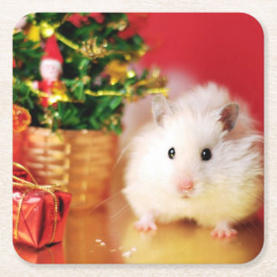 Hamster Kokolinka with Christmas tree Square Paper Coaster