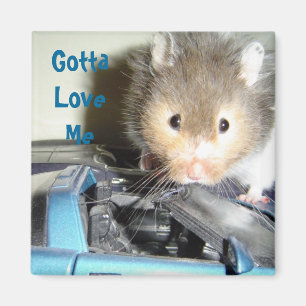 Hamster Love Magnet