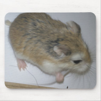 Hamster Mat Mouse Pad