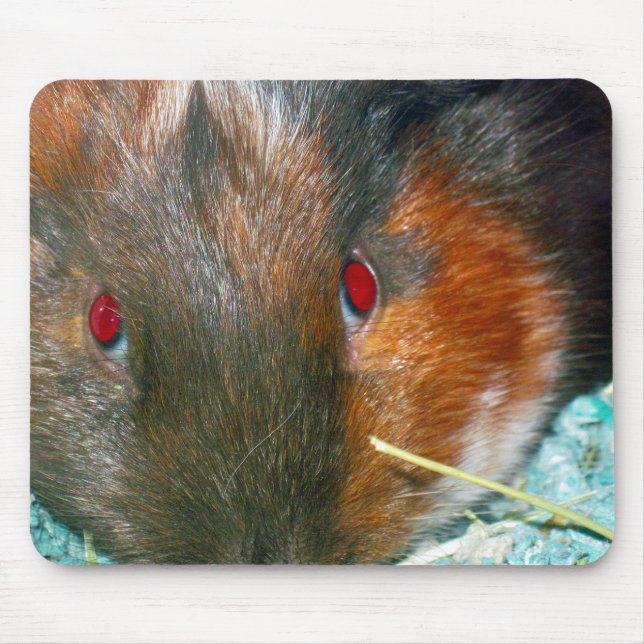 Hamster Mouse Pad (Front)