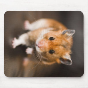 Hamster Mouse Pad