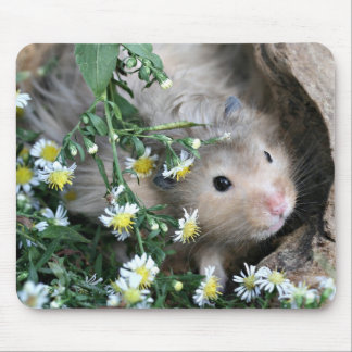 hamster mousepad