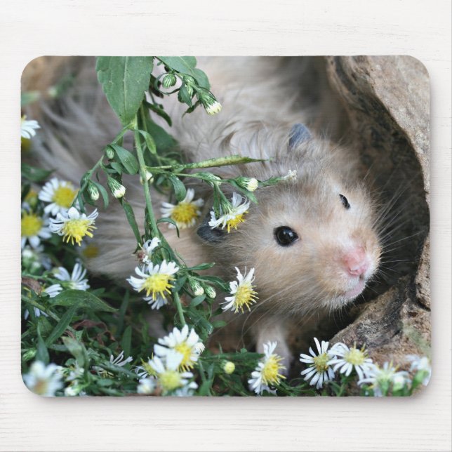 hamster mousepad (Front)