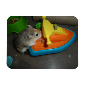 Hamster on a Jet-ski Magnet