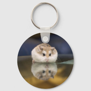 Hamster reflections key ring