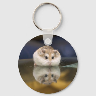 Hamster reflections key ring
