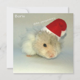 Hamster Santa! Holiday Card