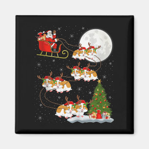 Hamster Santa Sleigh Flying Funny Magical Christma Magnet