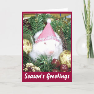 Hamster Season's Greetings Holiday Card