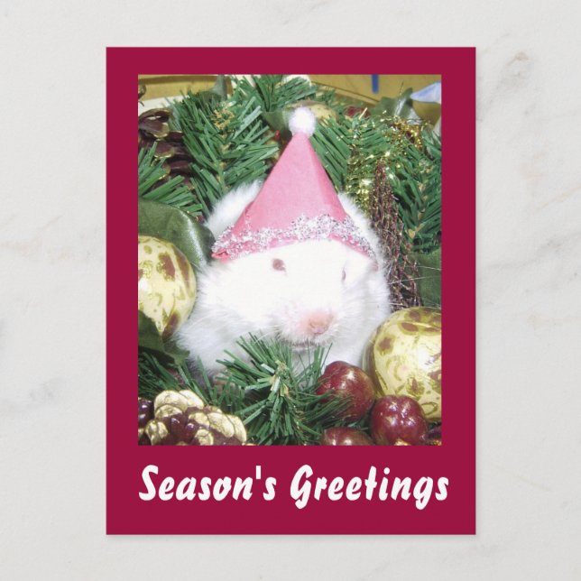 Hamster Season's Greetings Holiday Postcard (Front)