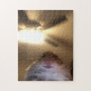 Hamster Staring Meme Jigsaw Puzzle
